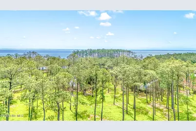 175 River Watch Road, Oriental, NC 28571 - Photo 3
