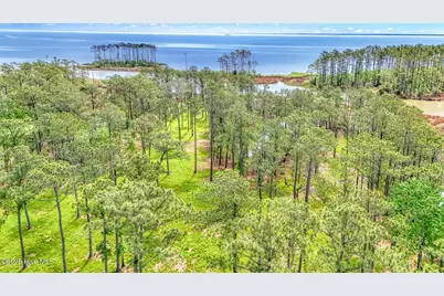 175 River Watch Road, Oriental, NC 28571 - Photo 11