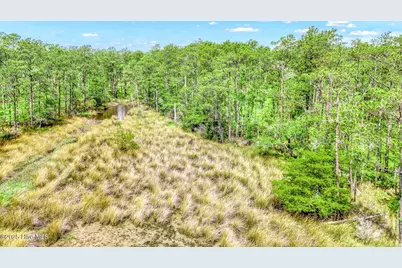 175 River Watch Road, Oriental, NC 28571 - Photo 17