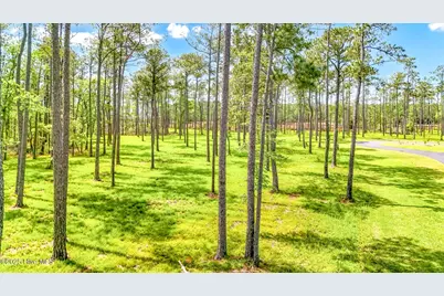 175 River Watch Road, Oriental, NC 28571 - Photo 23