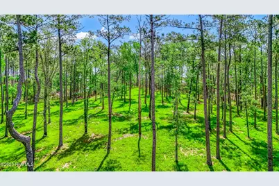 175 River Watch Road, Oriental, NC 28571 - Photo 19