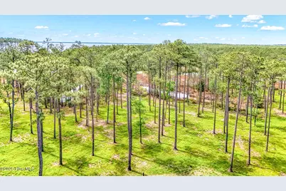 175 River Watch Road, Oriental, NC 28571 - Photo 5