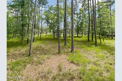 71 Mill Creek Lane, Oriental, NC 28571 - Photo 5