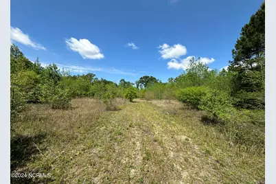 N11 0 1 Sr 1004, Turkey, NC 28393 - Photo 15
