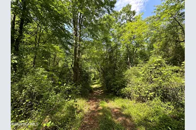 N11 0 1 Sr 1004, Turkey, NC 28393 - Photo 21