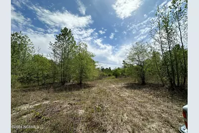 N11 0 1 Sr 1004, Turkey, NC 28393 - Photo 13