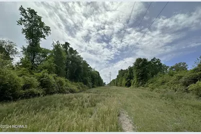 N11 0 1 Sr 1004, Turkey, NC 28393 - Photo 11