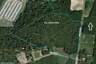 0 Needmore Rd, Turkey, NC 28393 - Photo 1