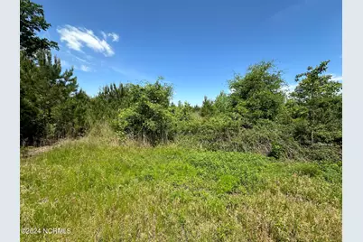 0 Needmore Road, Turkey, NC 28393 - Photo 7