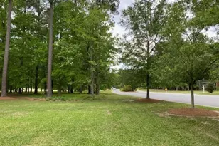 100 Thames Ln, Chocowinity, NC 27817 - Photo 1