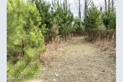 0 N Broadridge Road, Orrum, NC 28369 - Photo 7