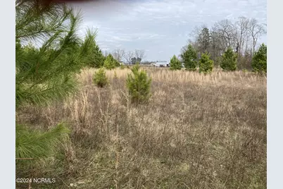 0 N Broadridge Road, Orrum, NC 28369 - Photo 3
