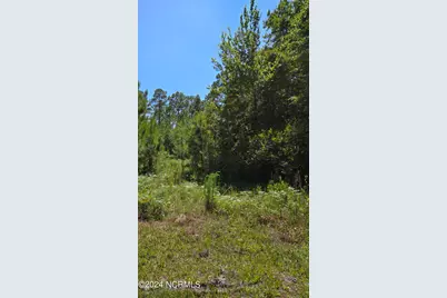 Tr16 Wildwood, Boiling Spring Lakes, NC 28461 - Photo 1