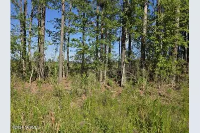 0 US 17, Chocowinity, NC 27817 - Photo 9