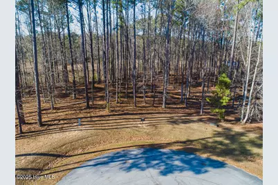 213 Golden Fern Lane, Minnesott Beach, NC 28510 - Photo 3