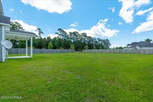 120 Tundra Trail, Swansboro, NC 28584 - Photo 5
