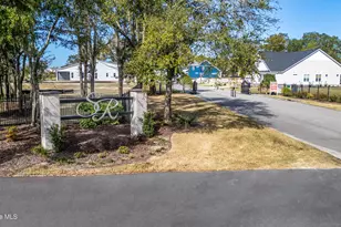 2597 Alvernia Dr, Castle Hayne, NC 28429 - Photo 41