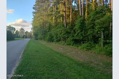 33 Mixon Creek Drive, Bath, NC 27808 - Photo 3