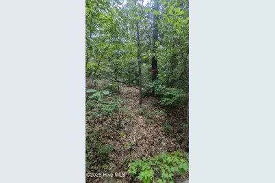 Tbd Line Road, Cameron, NC 28326 - Photo 5