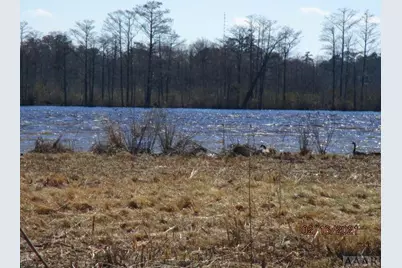 191 Knobbs Creek Drive, Elizabeth City, NC 27909 - Photo 39