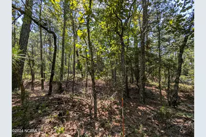 445 Thimbleberry Drive, Vass, NC 28394 - Photo 1