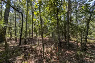 445 Thimbleberry Dr, Vass, NC 28394 - Photo 1