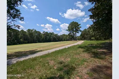 445 Thimbleberry Drive, Vass, NC 28394 - Photo 5