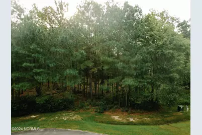 3 Alexander Drive, Belhaven, NC 27810 - Photo 1
