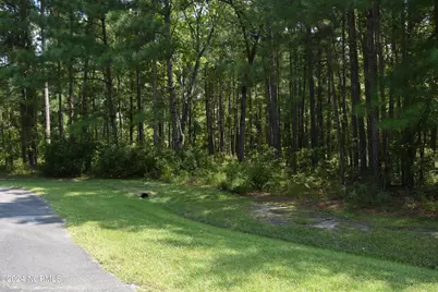 3 Alexander Drive, Belhaven, NC 27810 - Photo 7