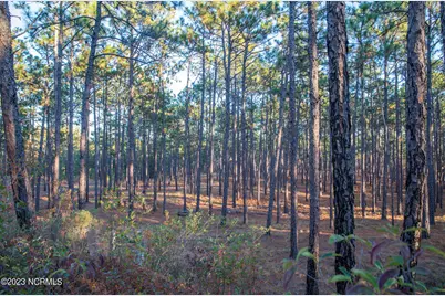 145 Pixie Moss Lane, Southern Pines, NC 28387 - Photo 3
