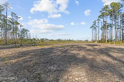 280 Donnie Davis Road, Williston, NC 28589 - Photo 5