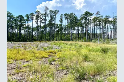 280 Donnie Davis Road, Williston, NC 28589 - Photo 17