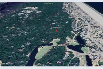 6 Leopard Frog Court, Bald Head Island, NC 28461 - Photo 1