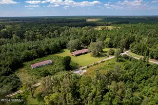 543 Cooper-Leath Trail, Oriental, NC 28571 - Photo 73