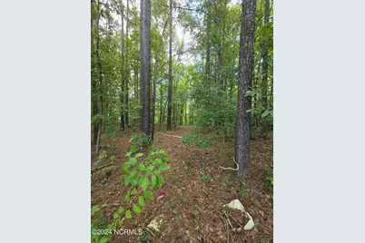 0 McNair Road, Plymouth, NC 27962 - Photo 13