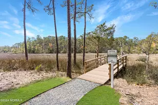 7261 Winding Marsh Ct, Wilmington, NC 28411 - Photo 55
