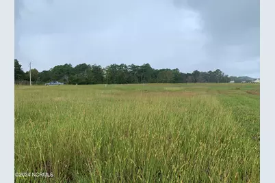 75 Dallas Paul Road, Belhaven, NC 27810 - Photo 11