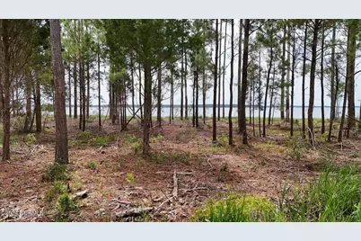 3572 Upper Neck Road, Bayboro, NC 28515 - Photo 5