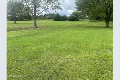 Lot 3 Old State Road State Road, Scotland Neck, NC 27874 - Photo 5