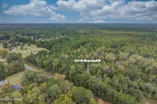 3347 Mount Misery Rd NE, Leland, NC 28451 - Photo 1