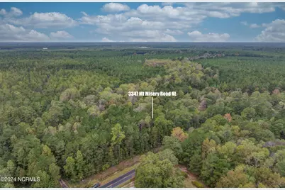 3347 Mt Misery Road NE, Leland, NC 28451 - Photo 5
