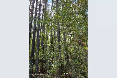 3347 Mt Misery Road NE, Leland, NC 28451 - Photo 13