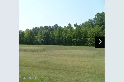 0 Nicodemus Mile Road, Rocky Mount, NC 27804 - Photo 1