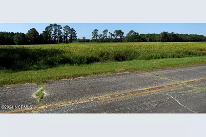 Tbd Cowpen Swamp Road, Fairmont, NC 28340 - Photo 3
