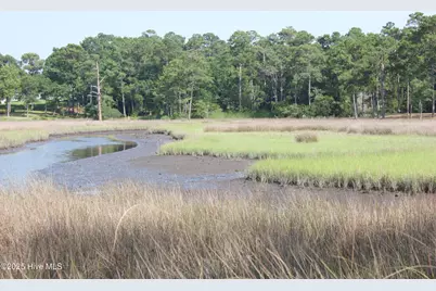 407 Salt Creek Road, Swansboro, NC 28584 - Photo 3