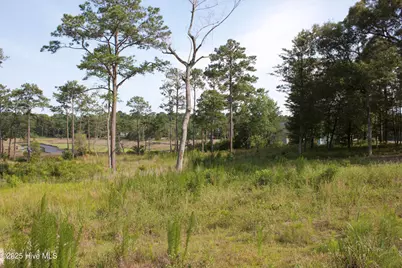 407 Salt Creek Road, Swansboro, NC 28584 - Photo 5