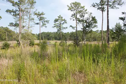 407 Salt Creek Road, Swansboro, NC 28584 - Photo 9