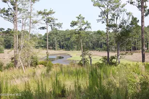 407 Salt Crk Rd, Swansboro, NC 28584 - Photo 1