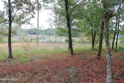 407 Salt Creek Road, Swansboro, NC 28584 - Photo 21