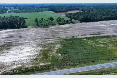 Tbd Cowpen Swamp Road, Fairmont, NC 28340 - Photo 1